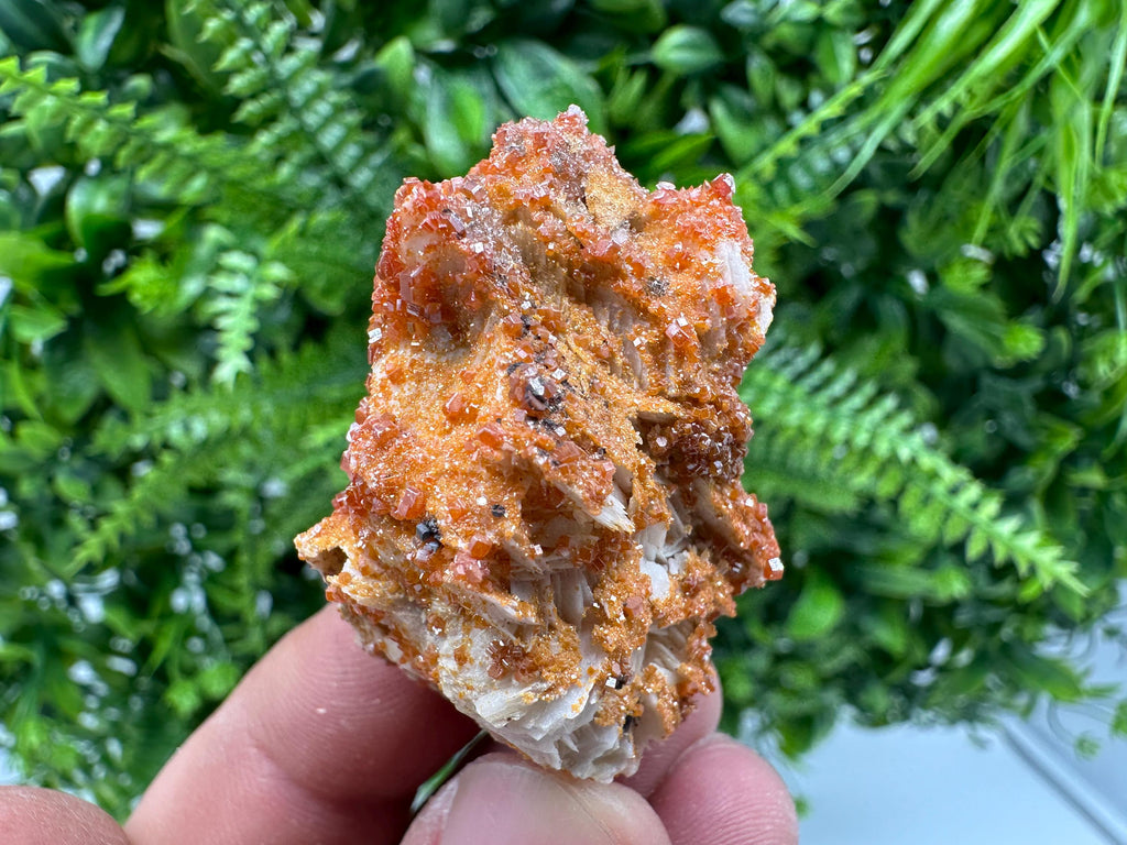Red Vanadinite Crystal Cluster on Matrix, Morocco Mineral Specimen