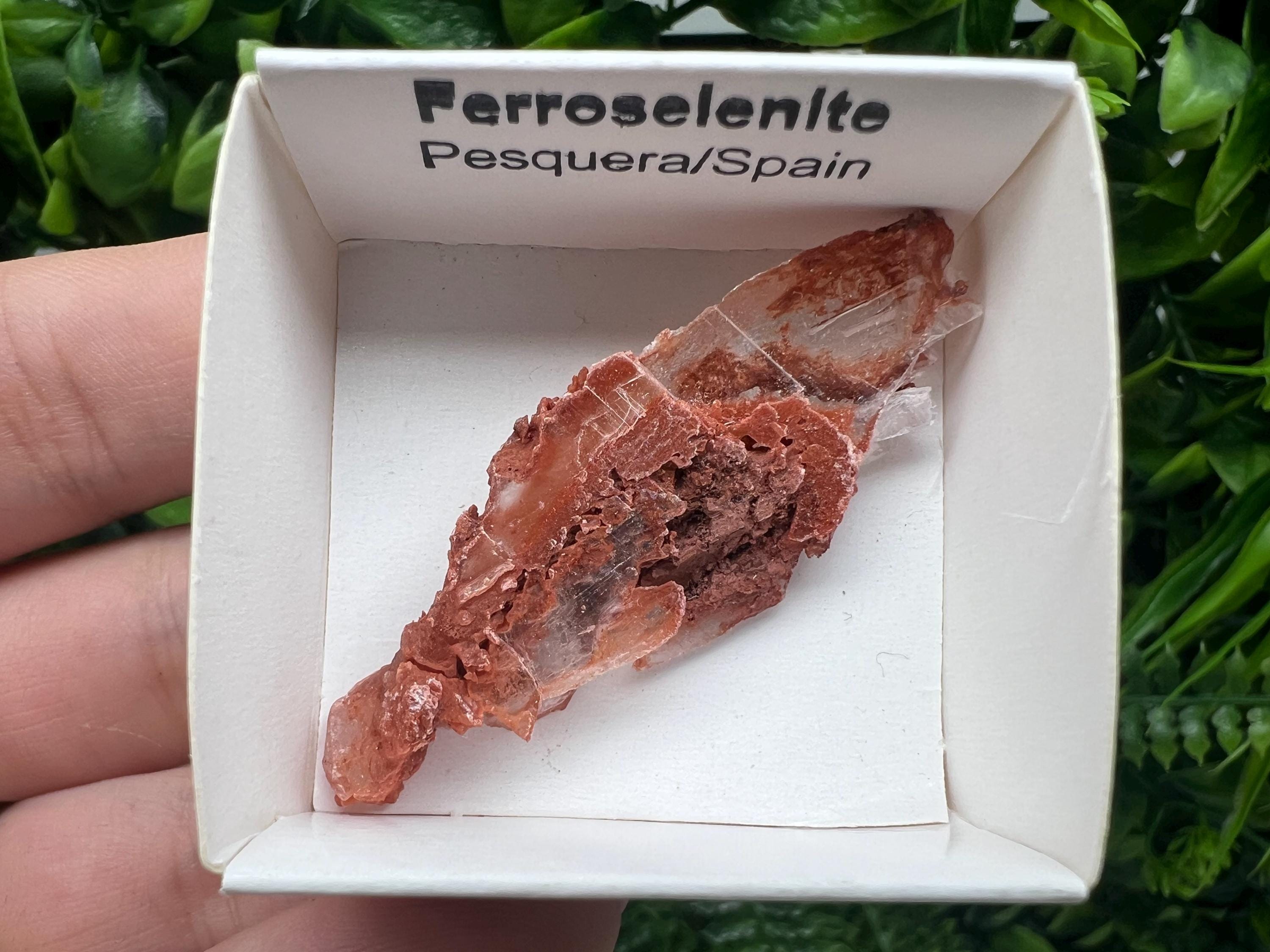 Rare Ferroselenite Specimen: La Pesquera, Spain Mineral (5/2 cm)