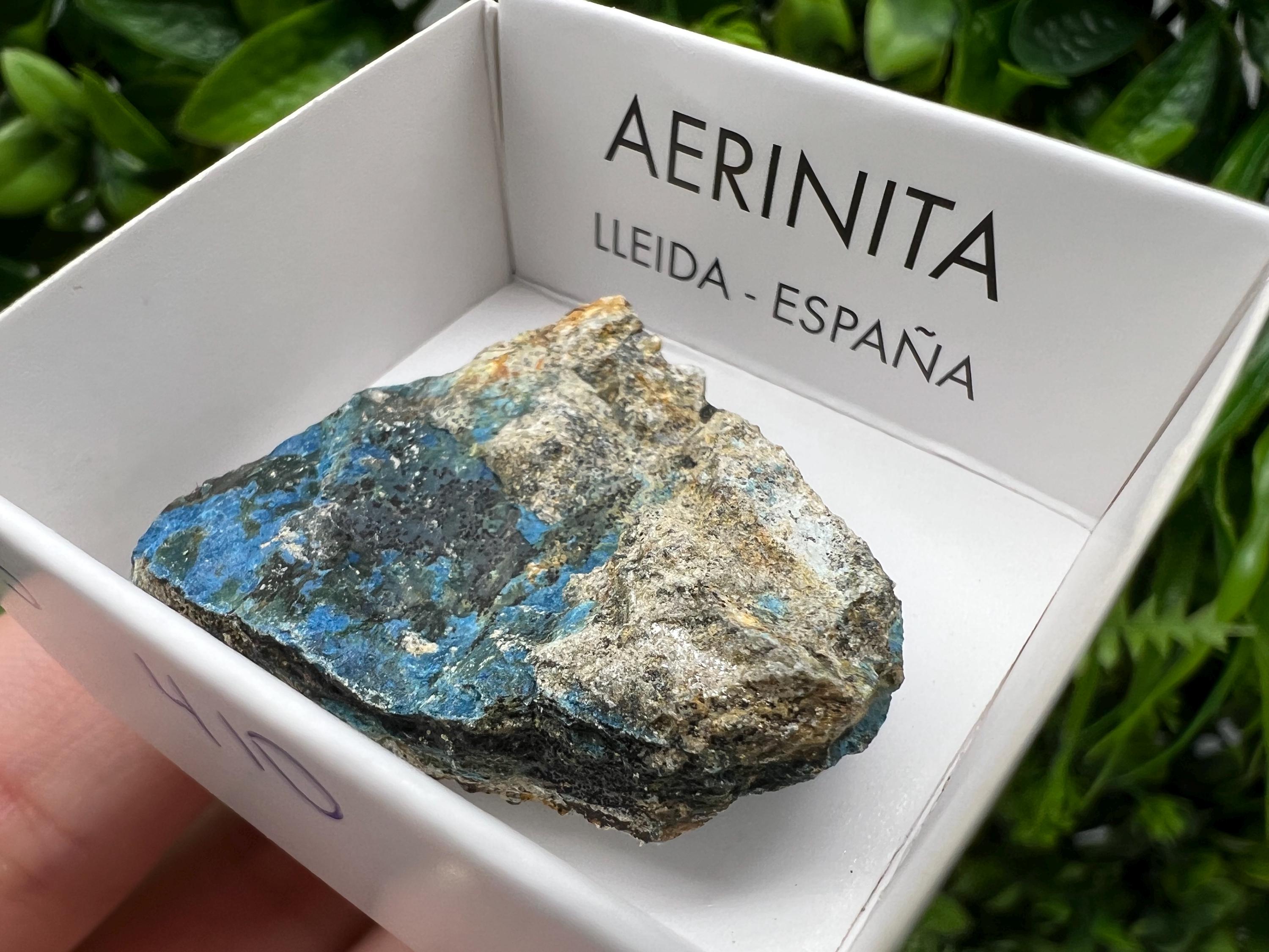 Rare Raw Aerinite Mineral Specimen: Collection Crystal from Lleida, Spain (3.5/3 cm