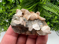 Calcite on Matrix, Borieva Mine, Madan Bulgaria, Mineral Specimen