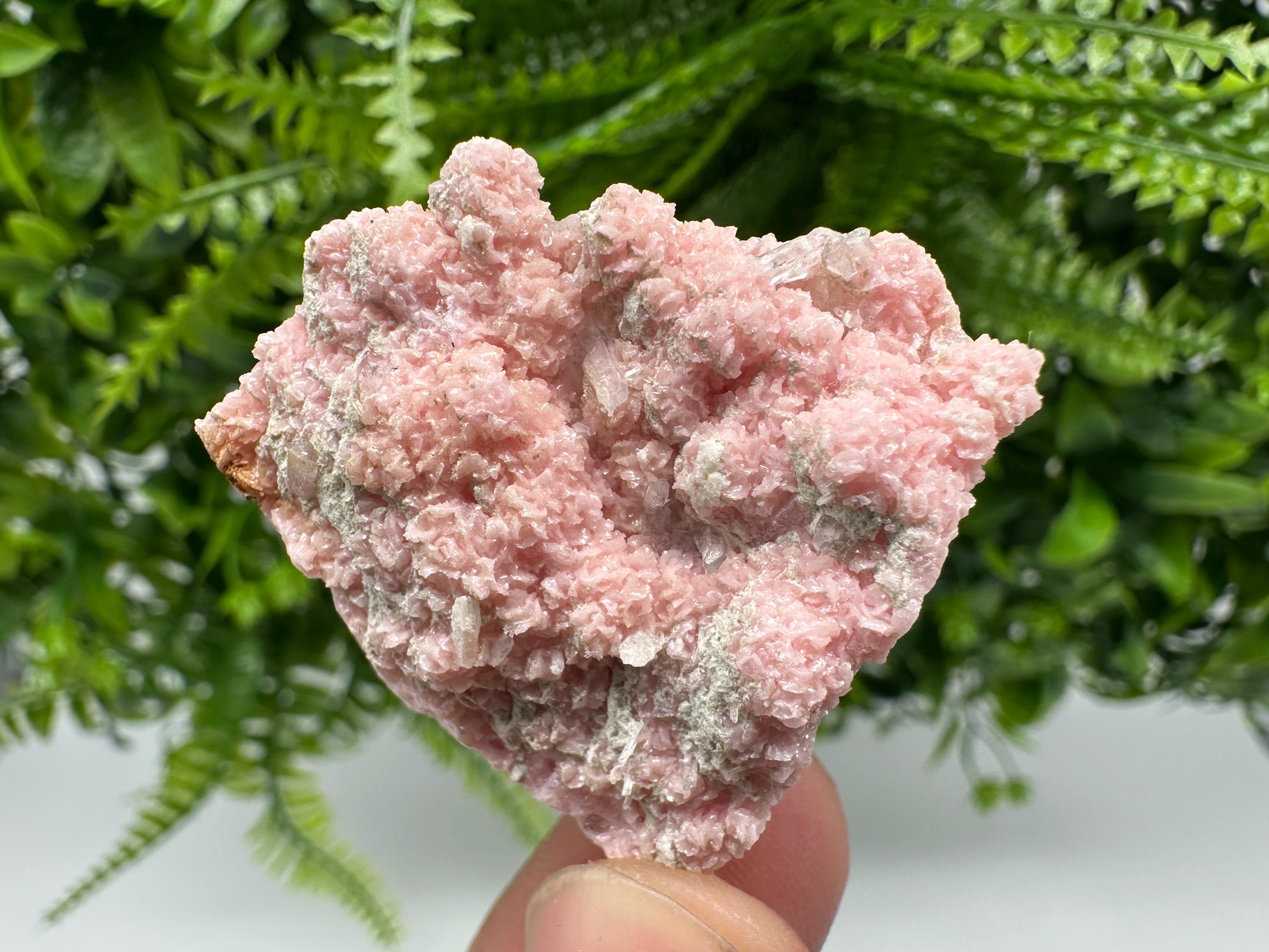 Rhodochrosite on Quartz, Starnica Mine, Bulgaria