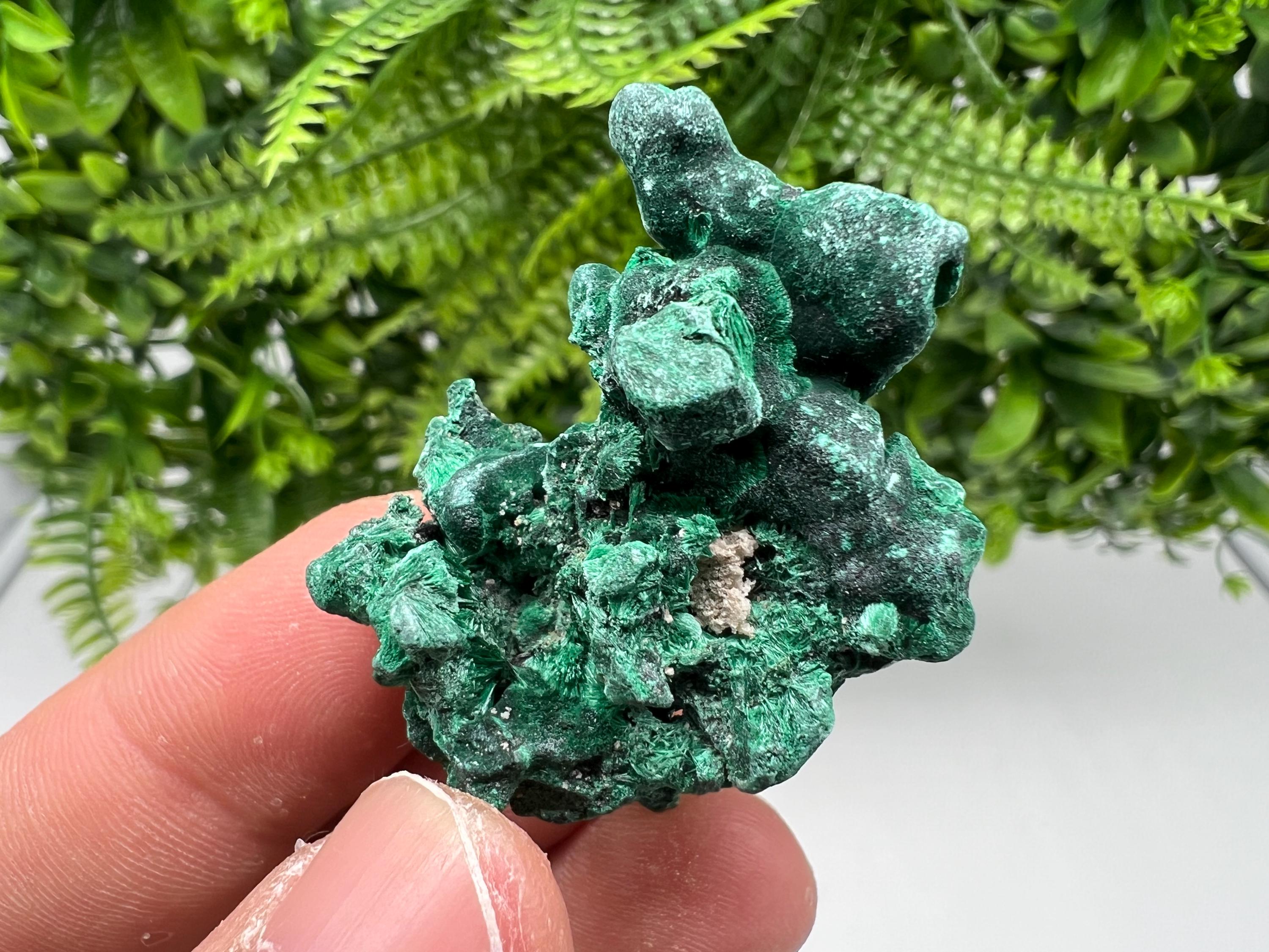 Malachite Crystal from Congo,Minerals,Crystals from Congo,Green Malachite, Malachite,Natural Malachite,Malachite Stone,Chakra, Specimens