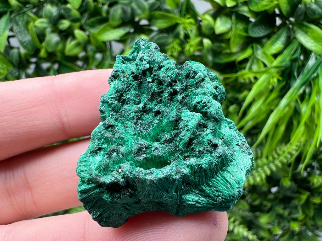 Malachite Crystal from Congo,Minerals,Crystals from Congo,Green Malachite, Malachite,Natural Malachite,Malachite Stone,Chakra, Specimens