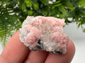 Pink Rhodochrosite Crystal: Starnica Mine, Bulgaria, Home Decor