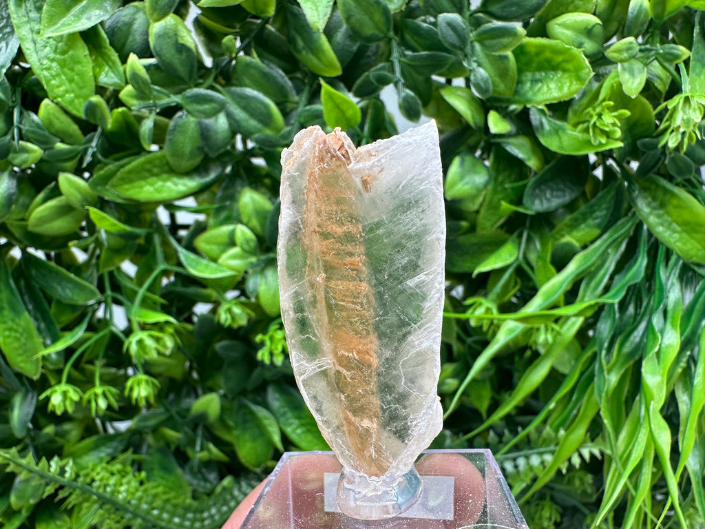 Raw Utah Golden Phantom Selenite Slab: Fishtail Selenite Wand