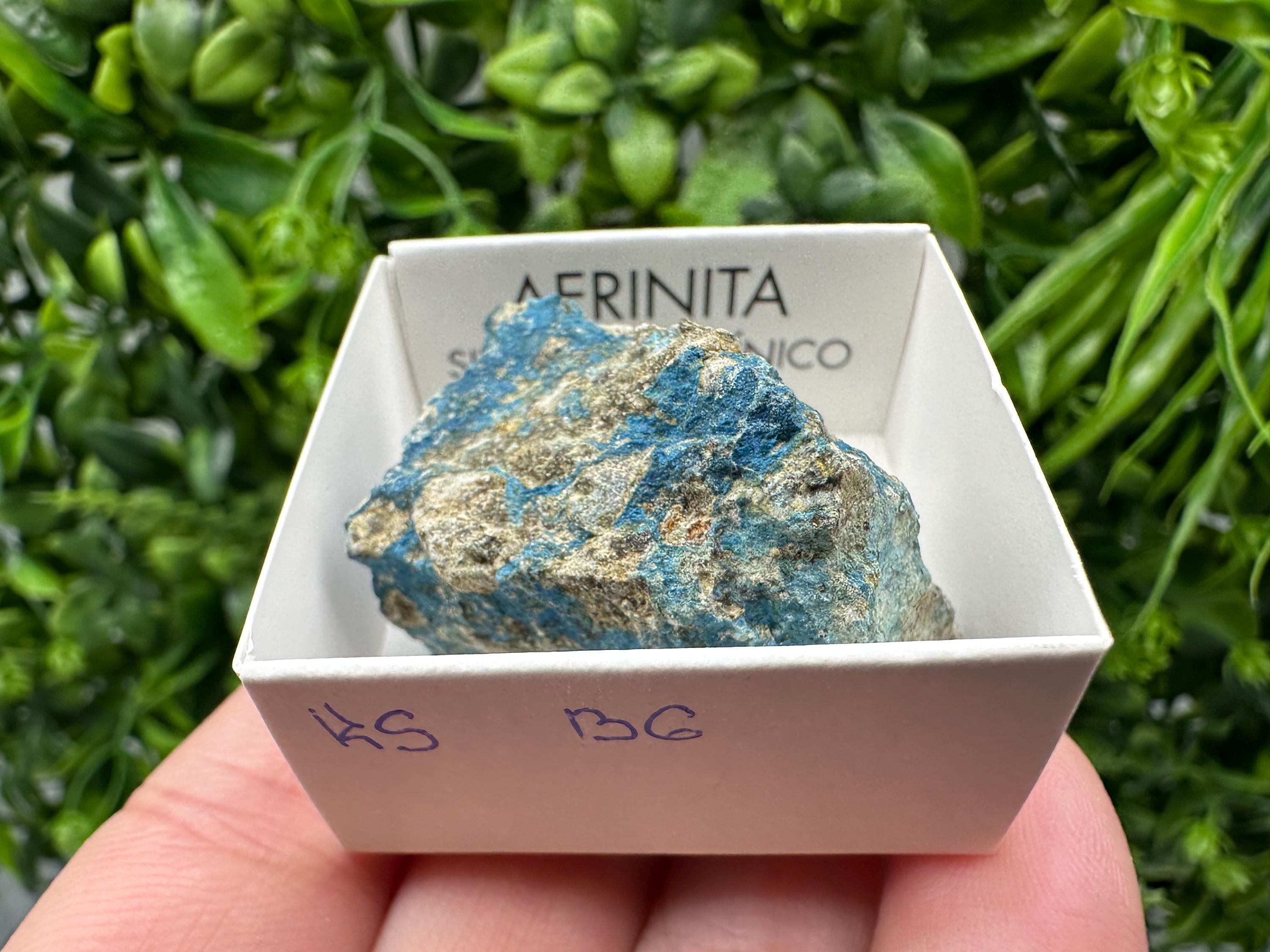 Rare Raw Aerinite Mineral Specimen: Lleida, Spain Crystal