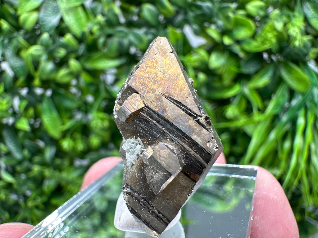 Mini Rainbow Pyrite Cluster: Borieva Mine, Bulgaria
