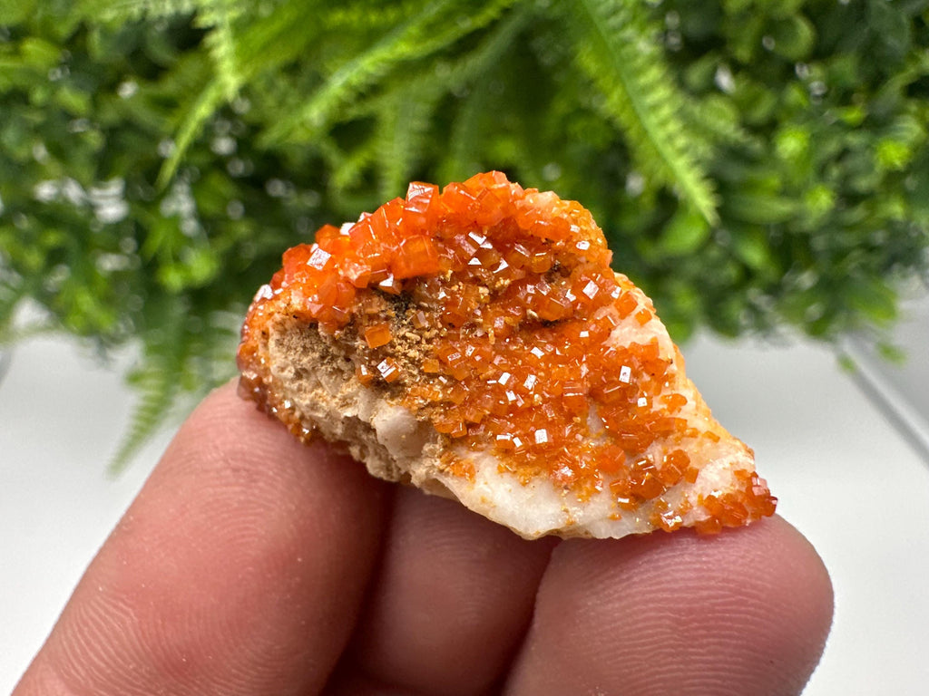 Red Vanadinite on Barite from Marocco,crystal minerals Speciment cluster Vanadinite crystal Vanadinite Geology Vanadinite cluster minerals