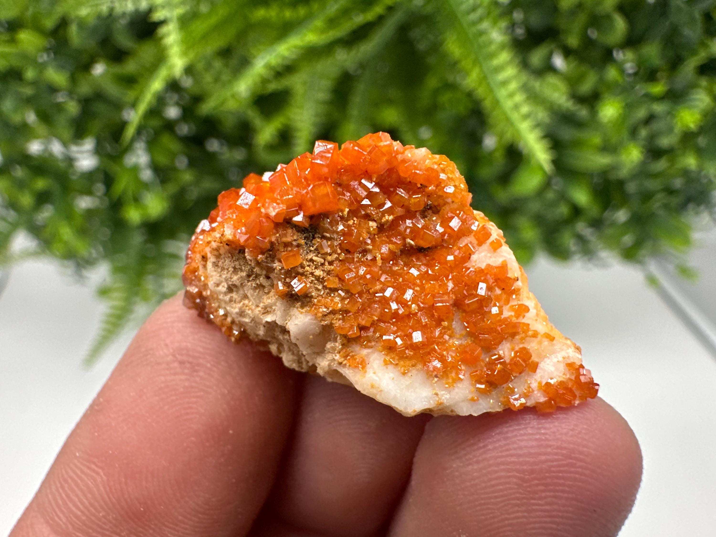 Red Vanadinite on Barite from Marocco,crystal minerals Speciment cluster Vanadinite crystal Vanadinite Geology Vanadinite cluster minerals