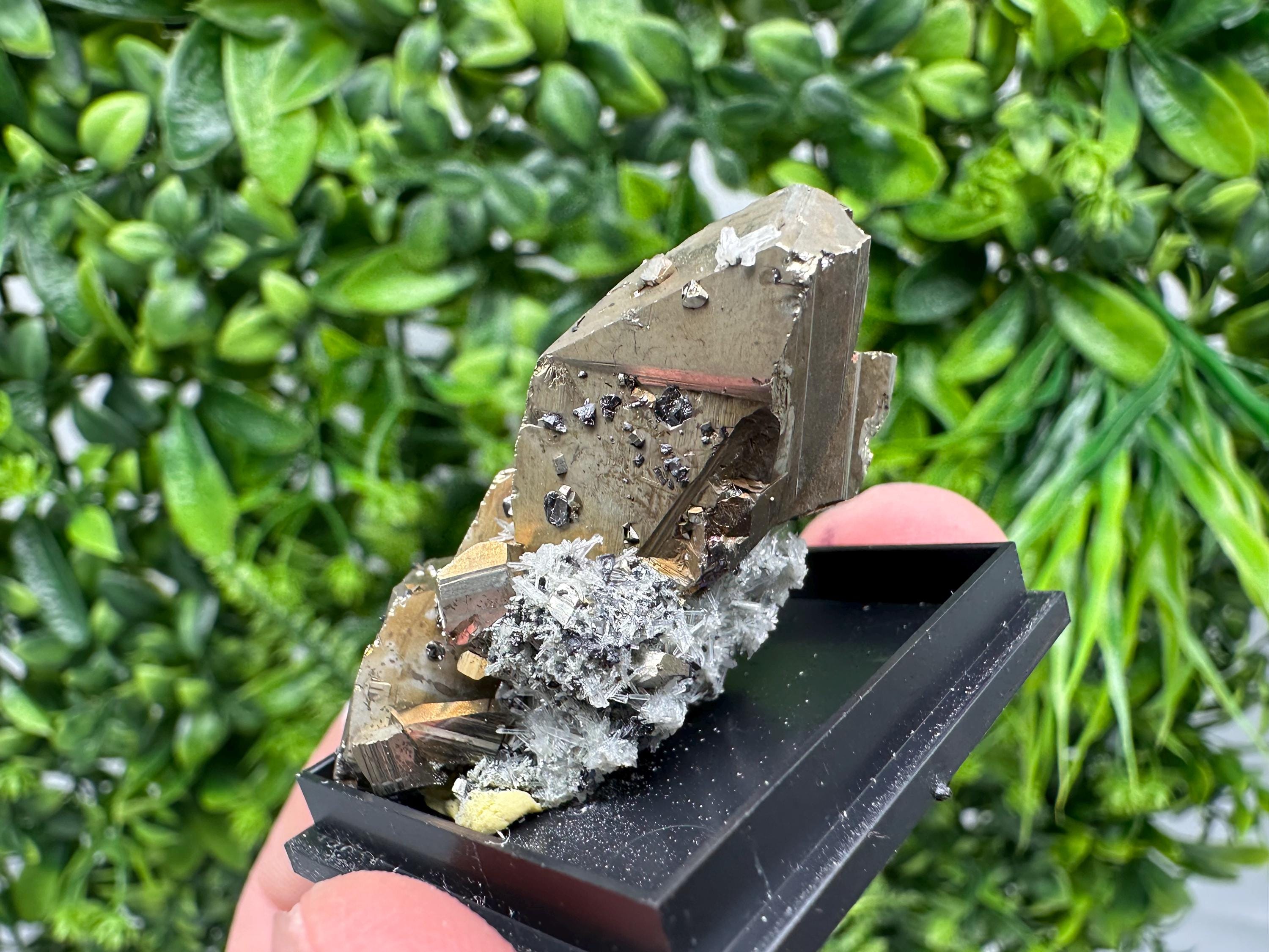 Rare Crystalline Pyrite Cluster - Borieva Mine, Bulgaria