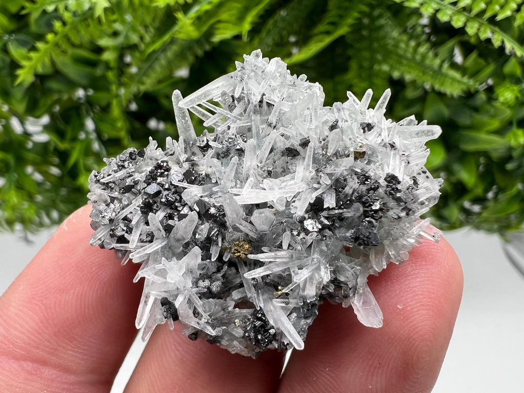 Sphalerite Chalcopyrite on Green Quartz with Hematite, Bulgaria Mineral Specimen