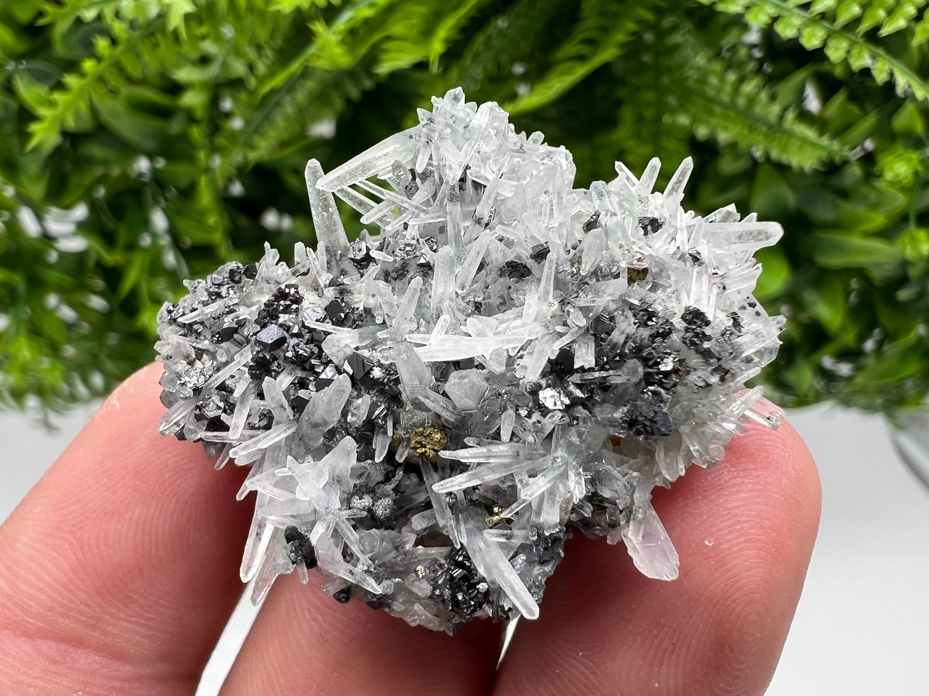 Sphalerite Chalcopyrite on Green Quartz with Hematite, Bulgaria Mineral Specimen