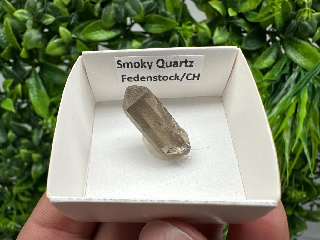 Rare Smoky Quartz Point, Fedenstock Switzerland Mineral Specimen