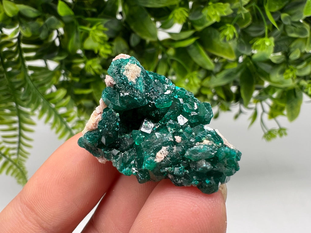 Stunning Green Dioptase from Sanda Hills,Mindouli,Pool Department,Mindouli District,Congo,green Dioptase,Dioptas Crystal,Dioptase collecting