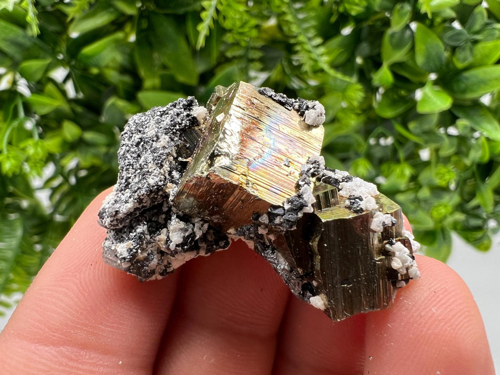 Mini Rainbow Pyrite Cluster: Borieva Mine, Bulgaria