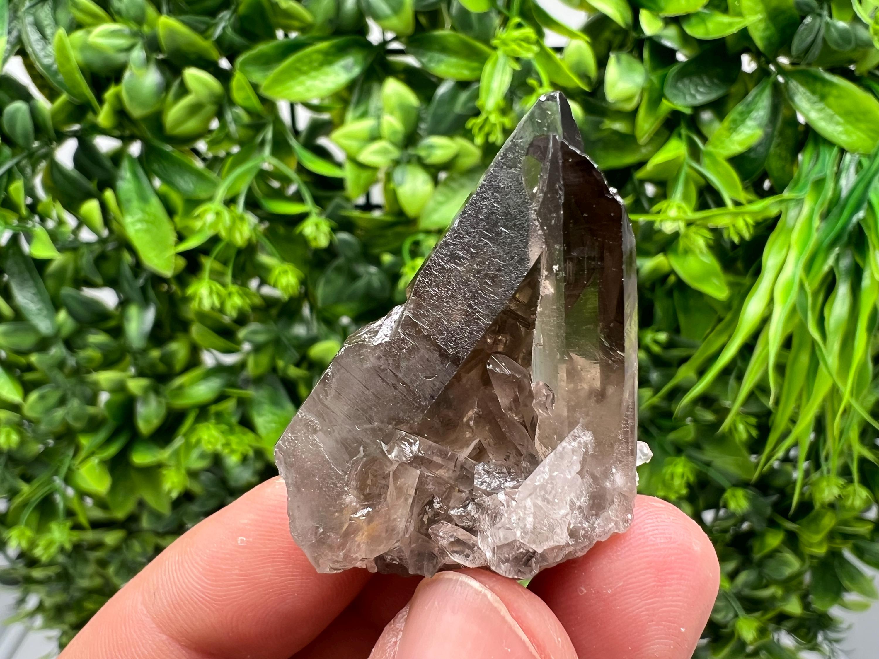 Rare Smoky Quartz Crystal Specimen: Mineral Collection, Brazil