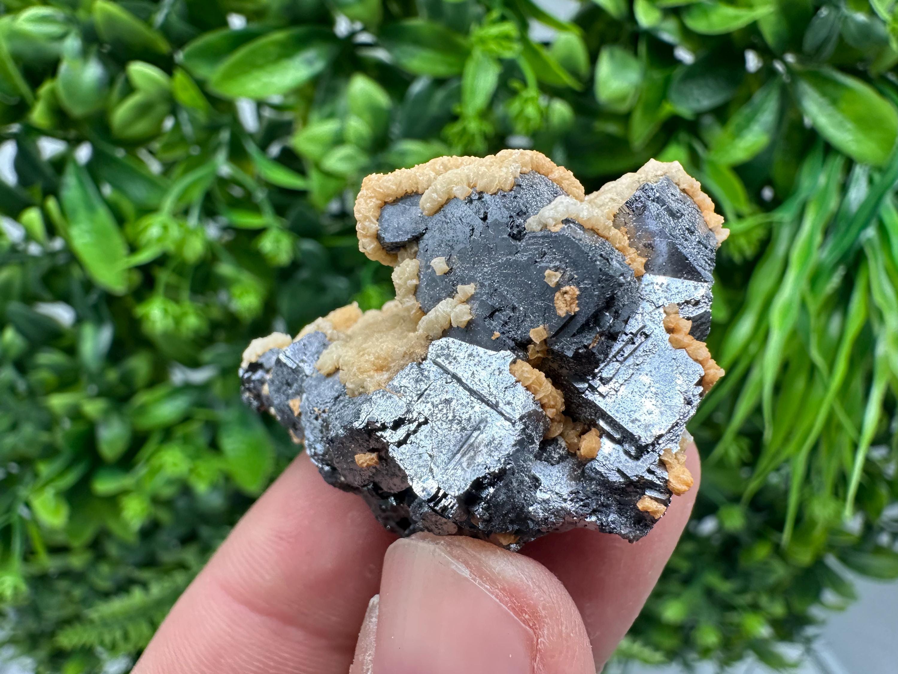 Skeletal Galena with Siderite & Sphalerite - Krushev dol Mine, Bulgaria