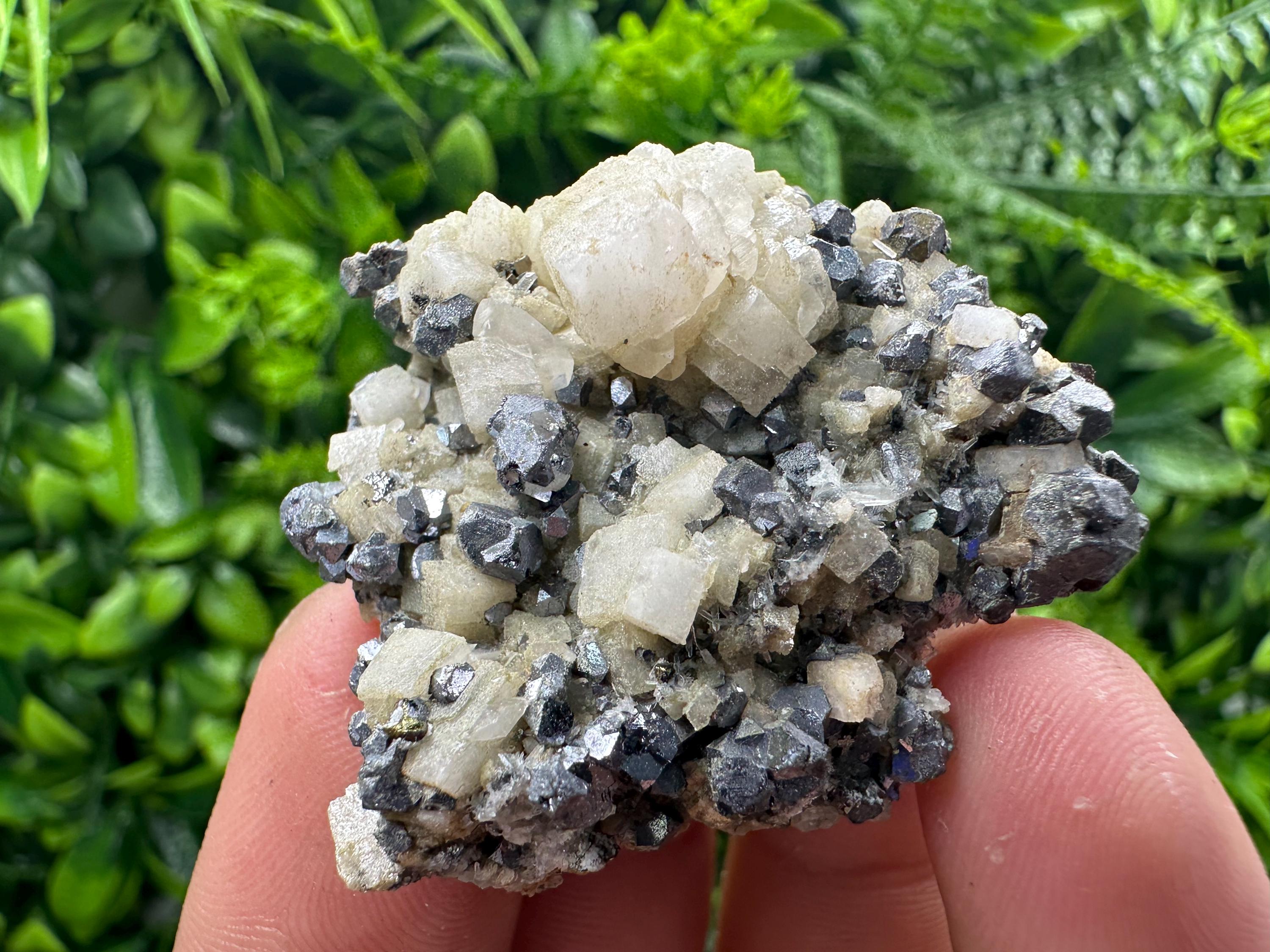 Galena Chalcopyrite on Calcite, Borieva Mine, Bulgaria
