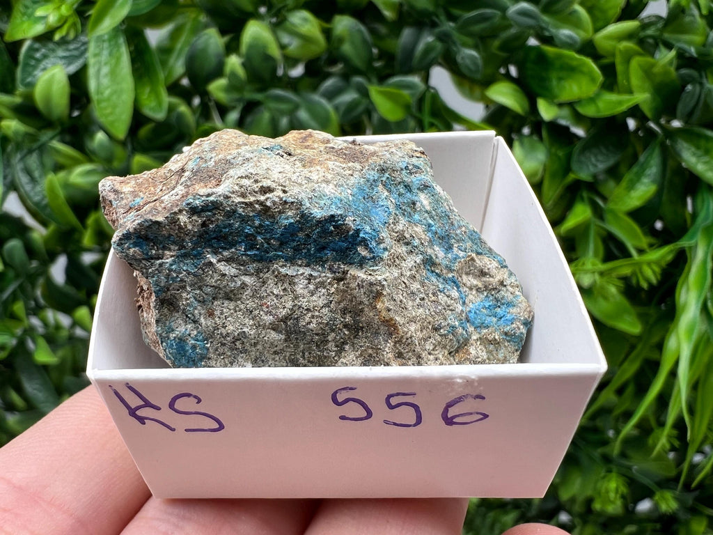 Rare Raw Aerinite Mineral Specimen: Collection Crystal from Lleida, Spain (5/3.5 CM)