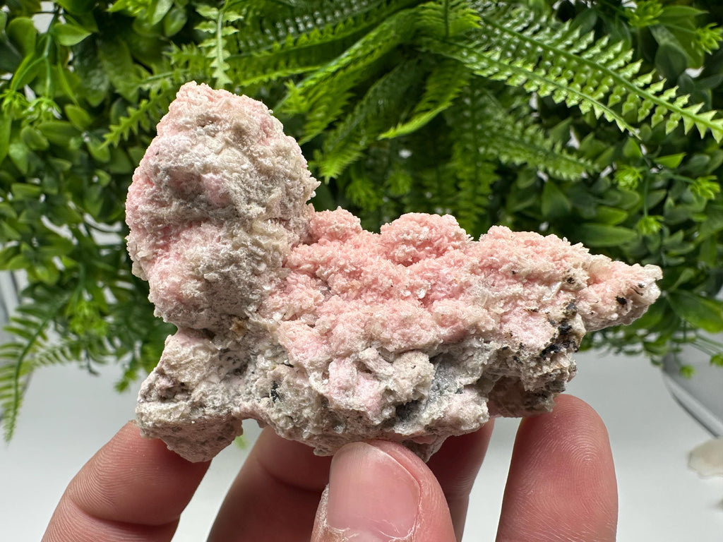 Pink Rhodochrosite Crystal: Starnica Mine, Bulgaria - Home Decor Stone