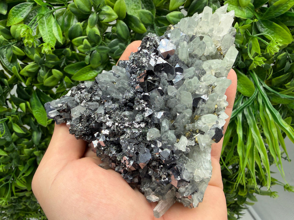 Galena Sphalerite Pyrite on Quartz, Borieva Mine, Bulgaria