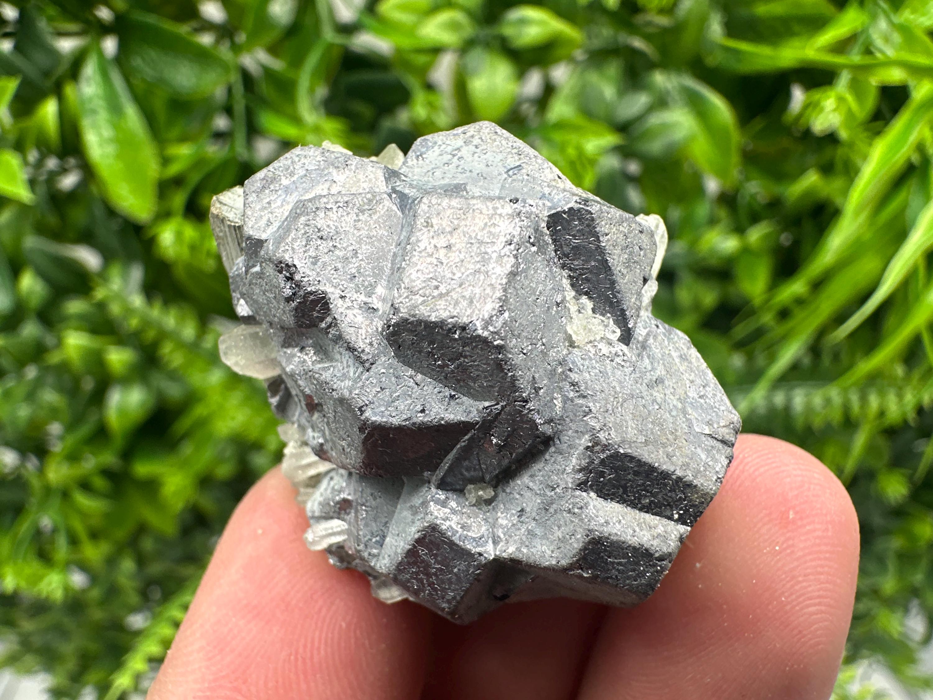 Galena on Pyrite Mineral Specimen, Borieva Mine, Bulgaria