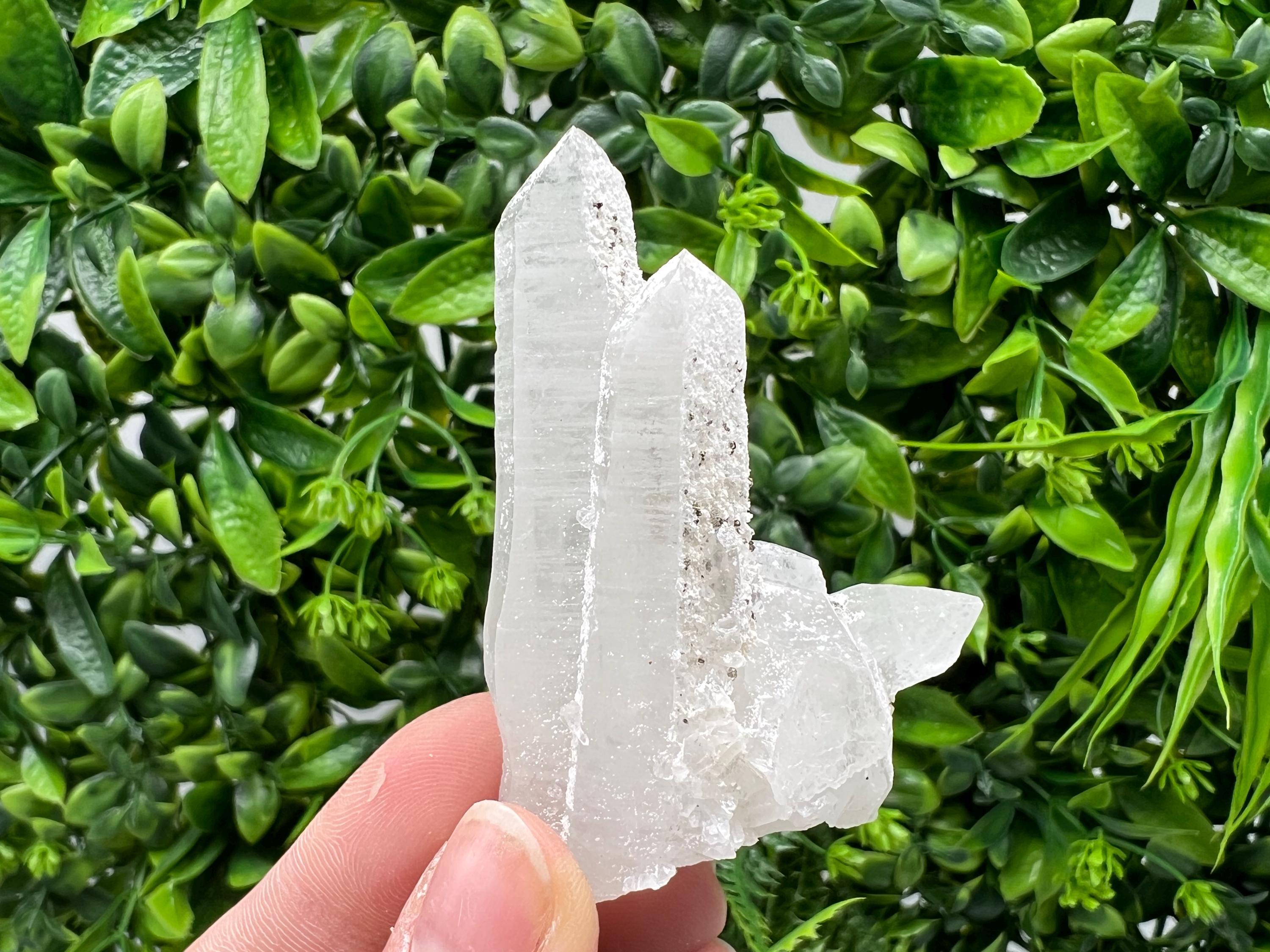 Quartz with Pyrite, Krushev Dol Mine Crystal, Bulgaria