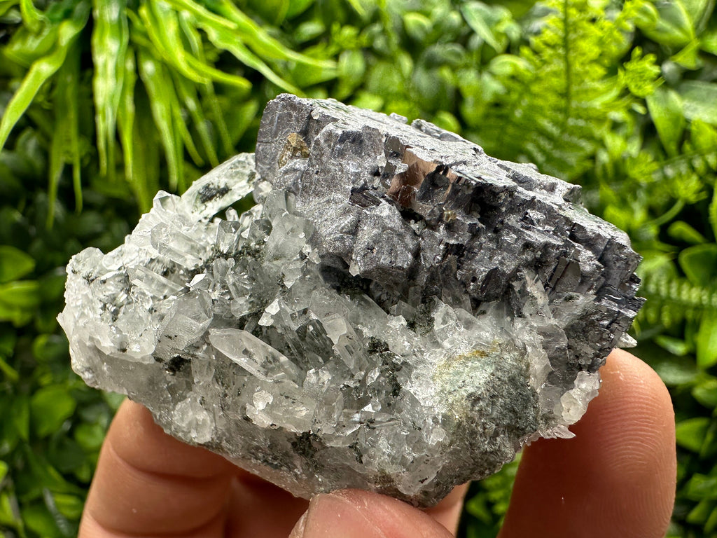 Quartz and Galena Mineral Specimen: Borieva Mine, Bulgaria