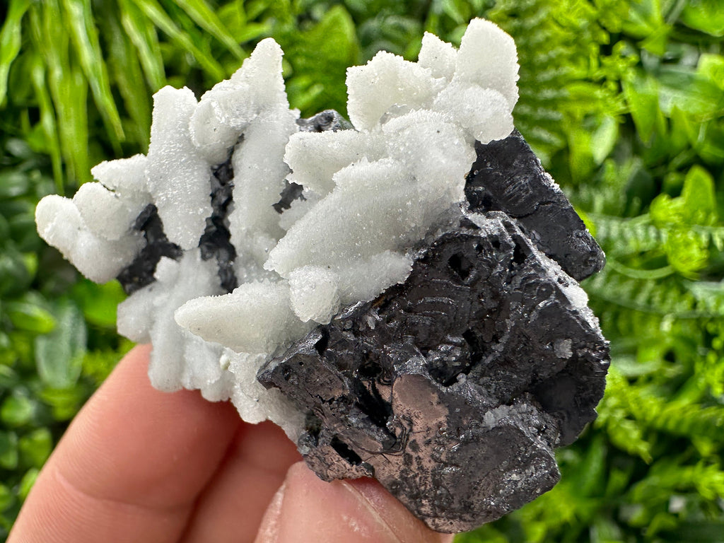 Rare Calcite on Galena: Borieva Mine, Bulgaria