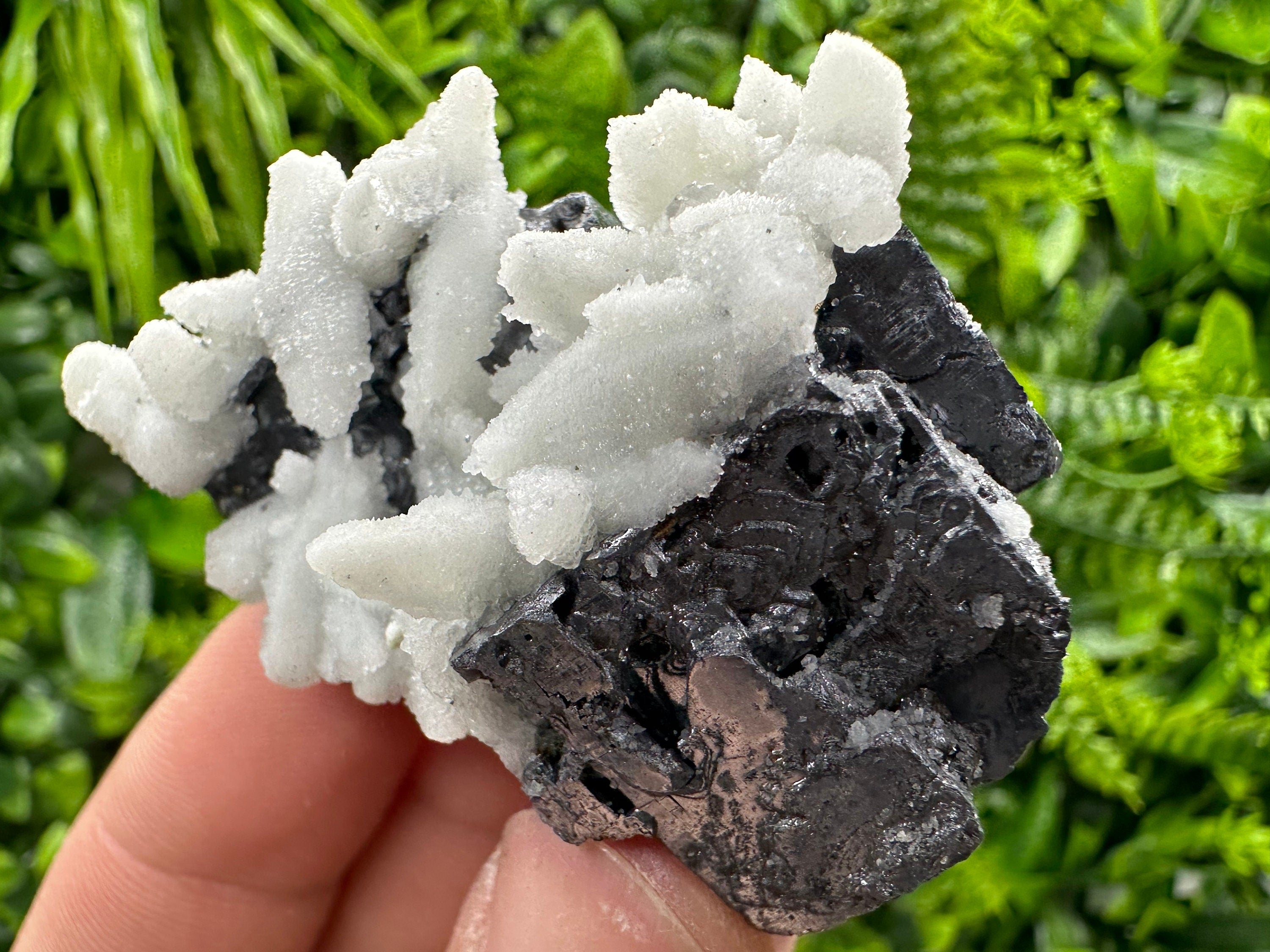 Rare Calcite on Galena: Borieva Mine, Bulgaria