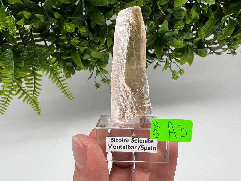 Golden Phantom Selenite Slab: Utah Raw Fishtail Selenite Wand