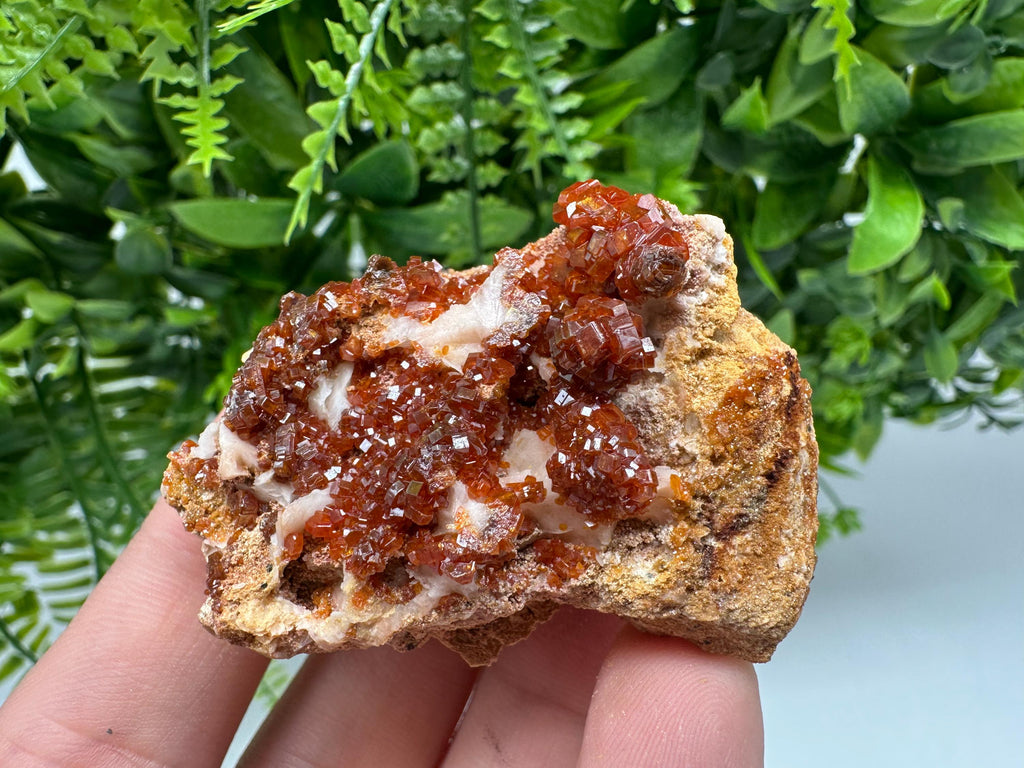 Red Vanadinite on Barite from Marocco,crystal minerals Speciment cluster Vanadinite crystal Vanadinite Geology Vanadinite cluster minerals