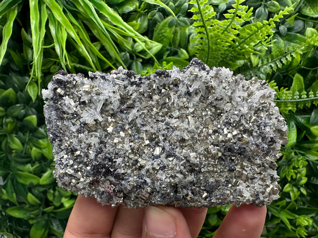 Galena Sphalerite Pyrite on Quartz, Borieva Mine, Bulgaria