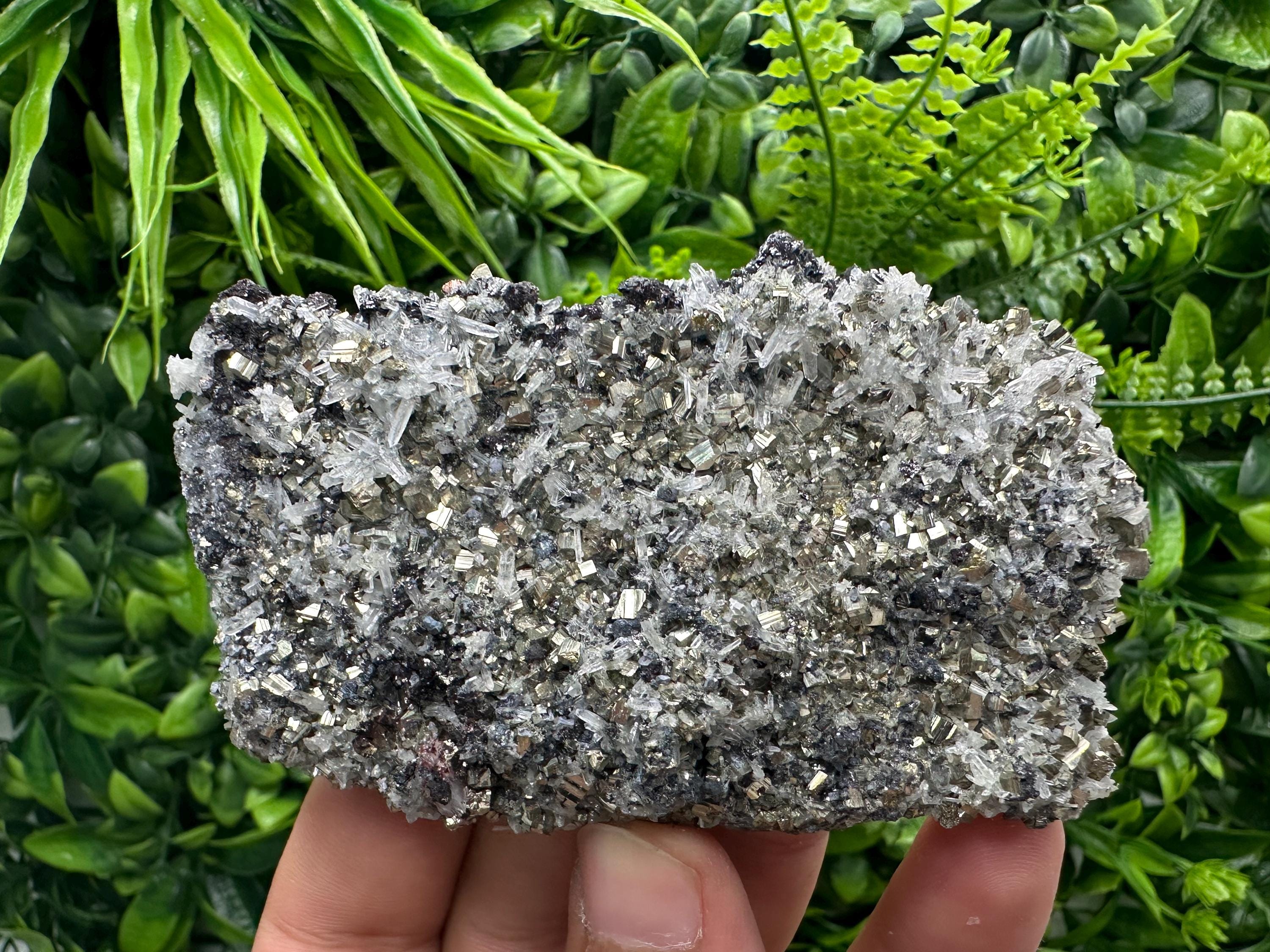 Galena Sphalerite Pyrite on Quartz, Borieva Mine, Bulgaria
