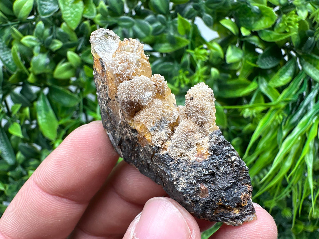 Rare Green/Yellow Pyromorphite & Hematite on Quartz - Madjarovo Mine, Bulgaria