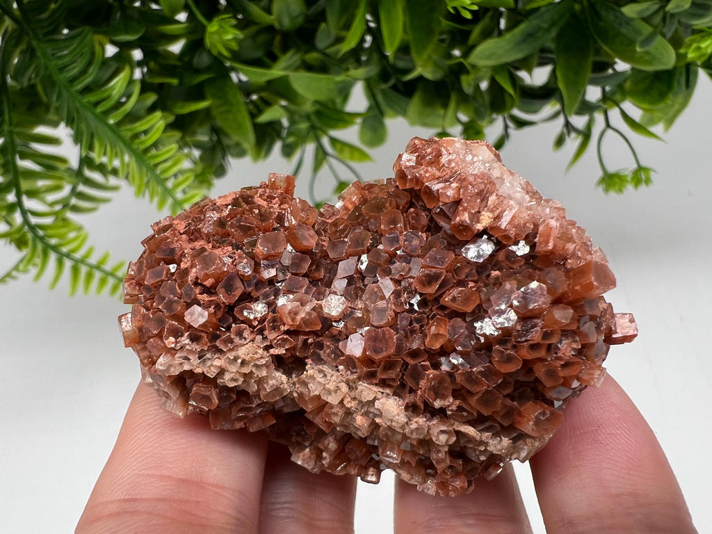 Large Aragonite Sputnik Cluster: Raw Moroccan Crystal Stone