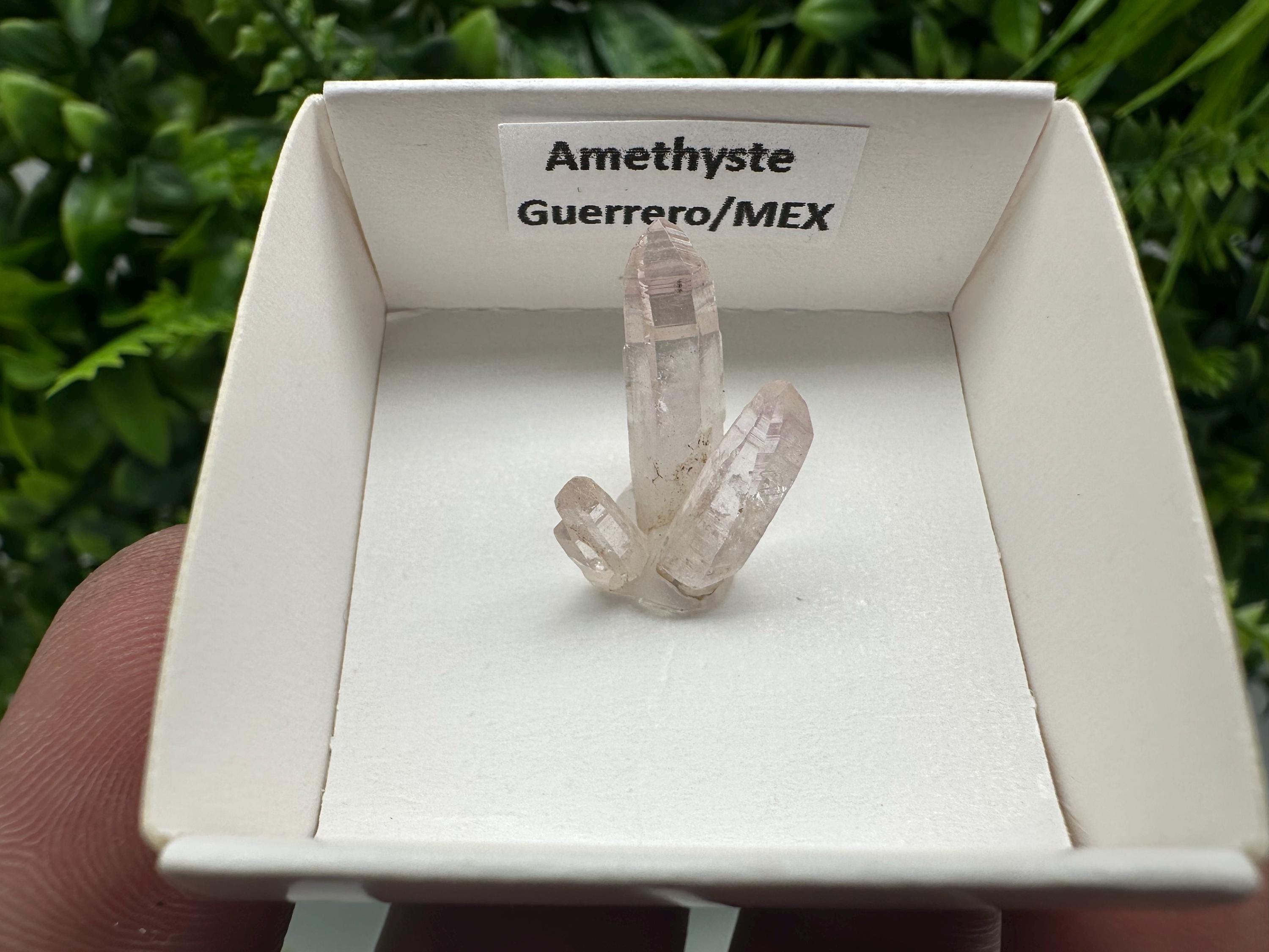 Mexican Amethyst Cluster: Mineral Specimen, Crystal Collection