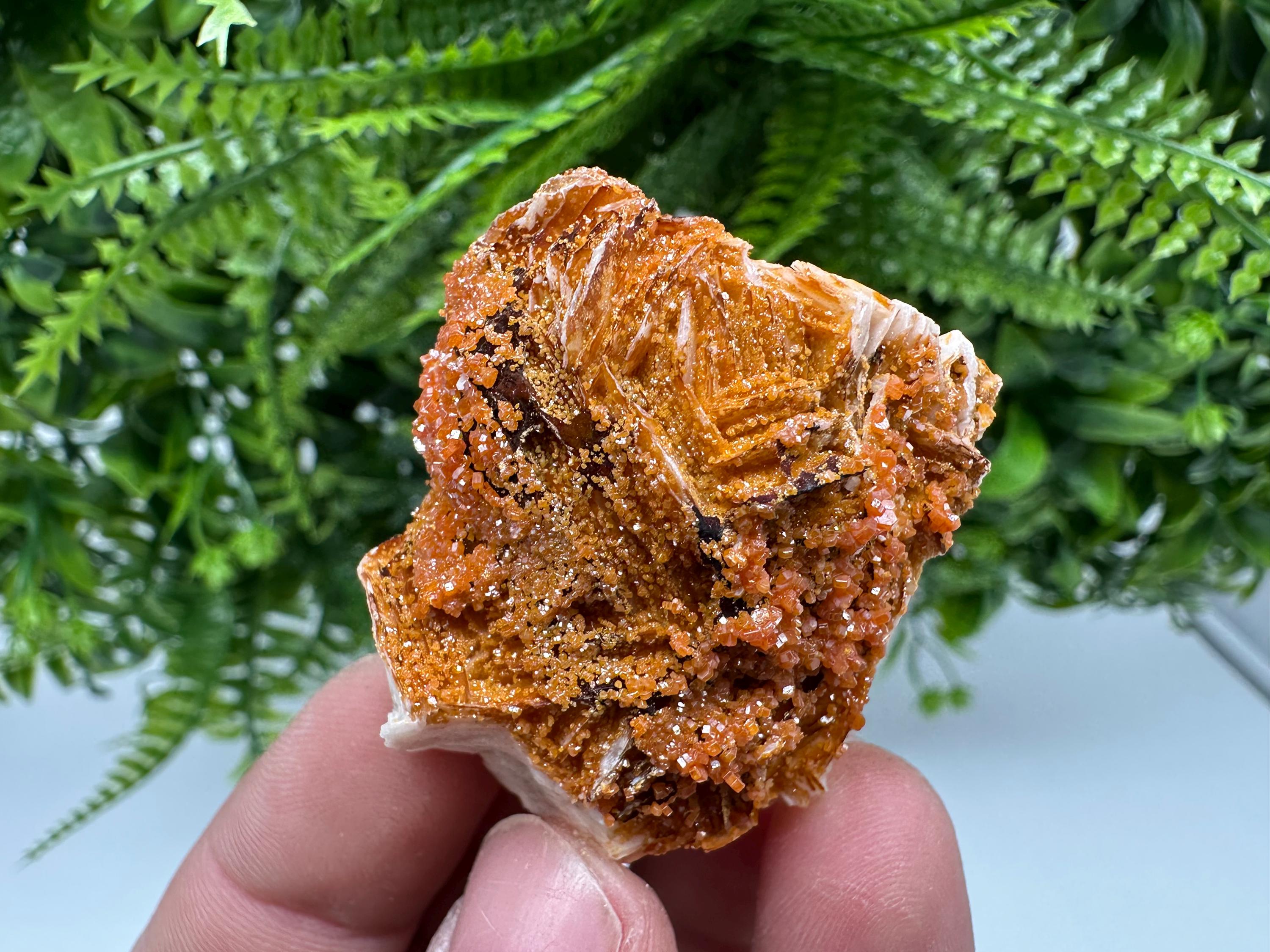 Red Vanadinite on Barite, Morocco Crystal Specimen