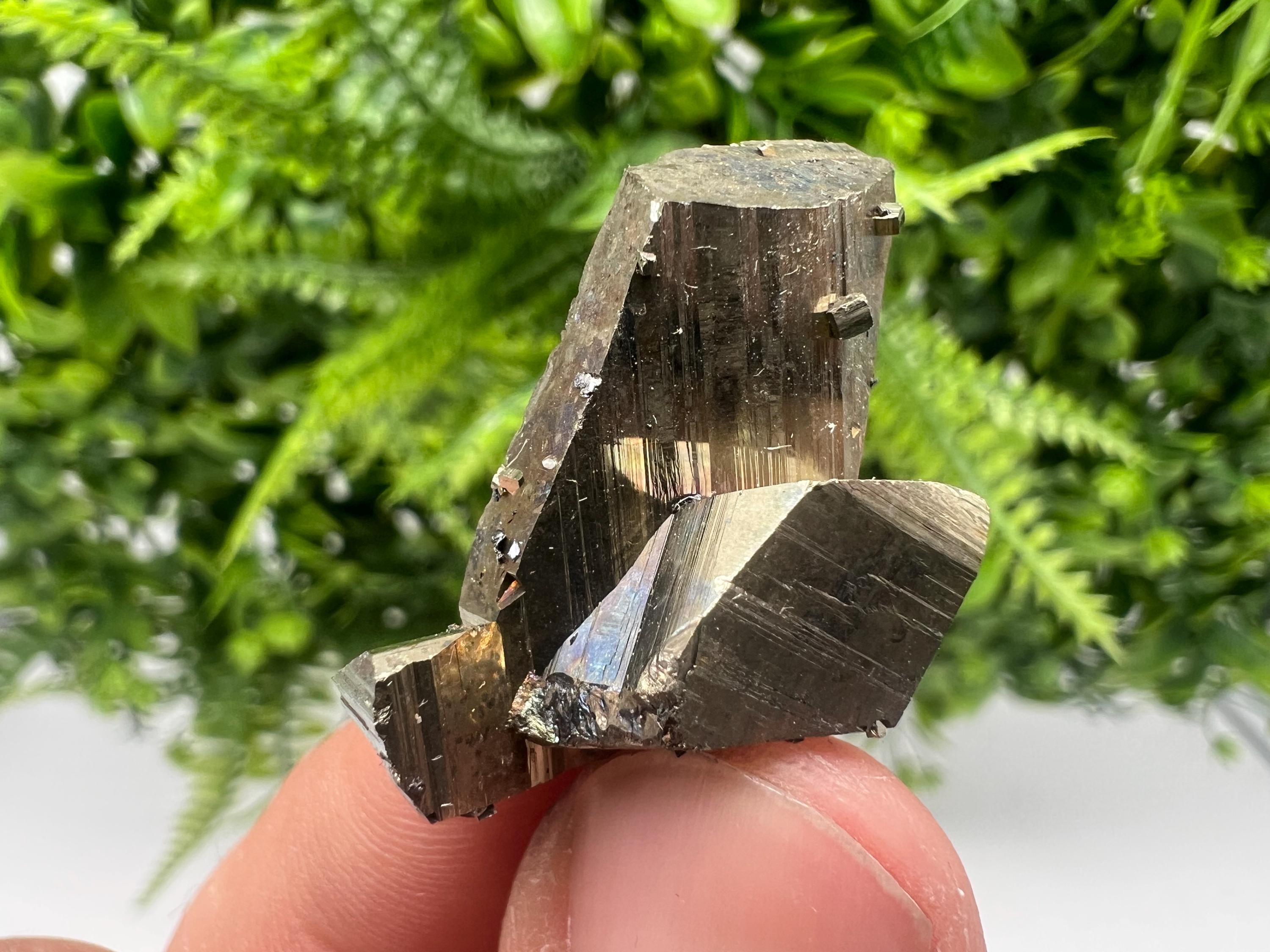 Mini Rainbow Pyrite Cluster: Borieva Mine, Bulgaria