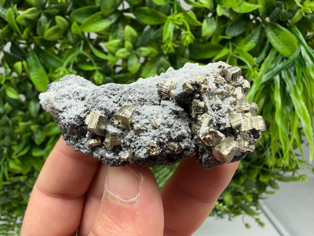 Pyrite Sphalerite Quartz  Mineral Specimen, Krushev dol Mine