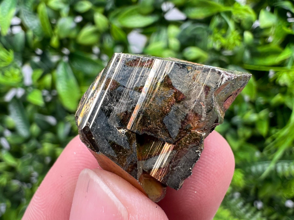 Rare Crystallized Pyrite Cluster, Borieva Mine Specimen