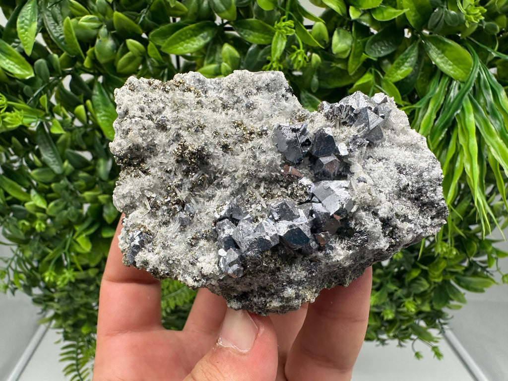 Galena Sphalerite Pyrite on Quartz: Borieva Mine Mineral Cluster