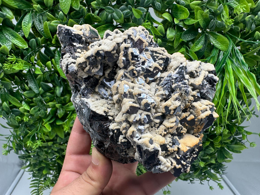 Skeletal Galena with Dolomite: Krushev Dol Mine, Bulgaria