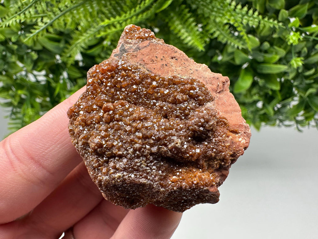 Red Vanadinite on Matrix from Marocco,crystal minerals Speciment cluster Vanadinite crystal Vanadinite Geology Vanadinite cluster minerals