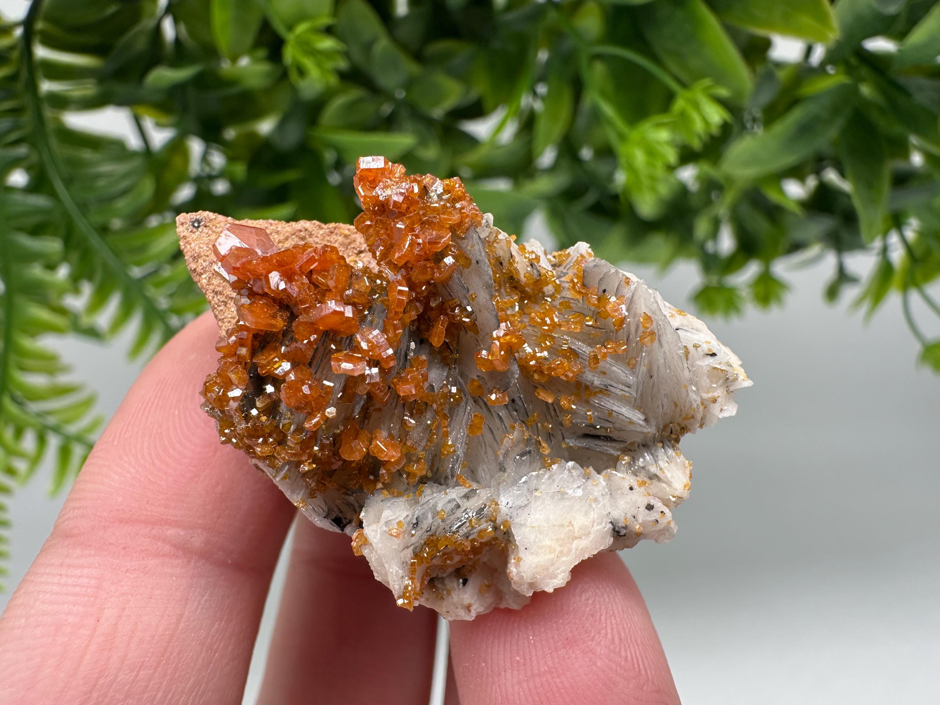 Red Vanadinite on Barite from Marocco,crystal minerals Speciment cluster Vanadinite crystal Vanadinite Geology Vanadinite cluster minerals