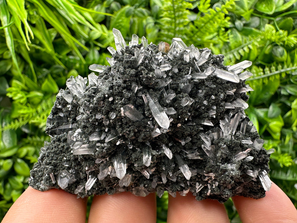 Chlorite Quartz Crystal: Iron Oxide Mineral Specimen, Borieva Bulgaria