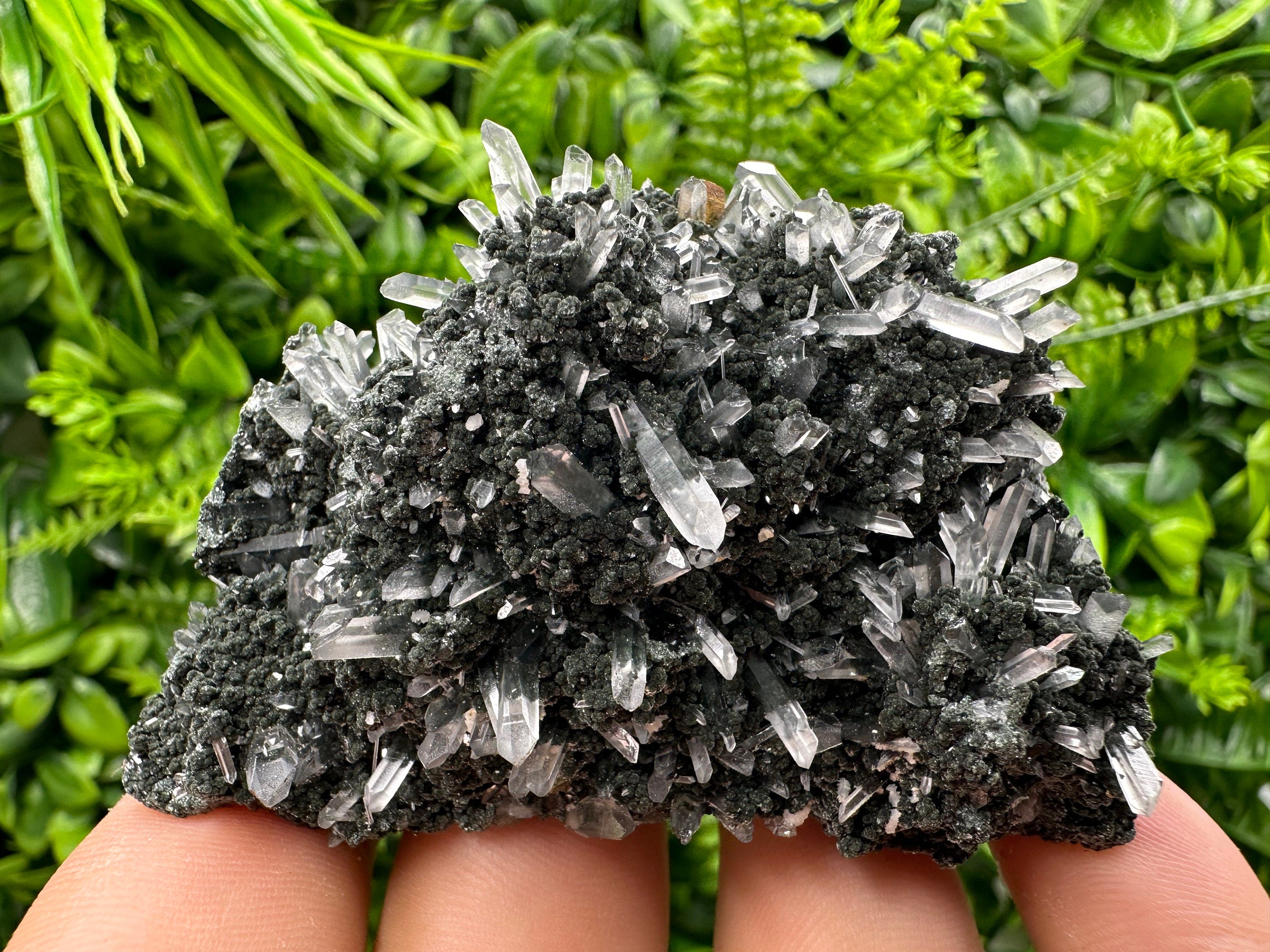 Chlorite Quartz Crystal: Iron Oxide Mineral Specimen, Borieva Bulgaria