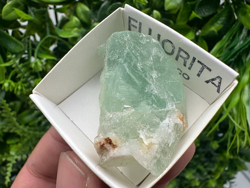 Rare Rainbow Fluorite Cube: Raw Mexican Crystal, Meditation Stone