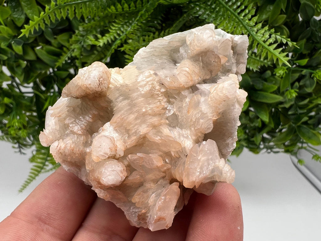 Rare Mangano Calcite Crystal: Borieva Mine, Bulgaria