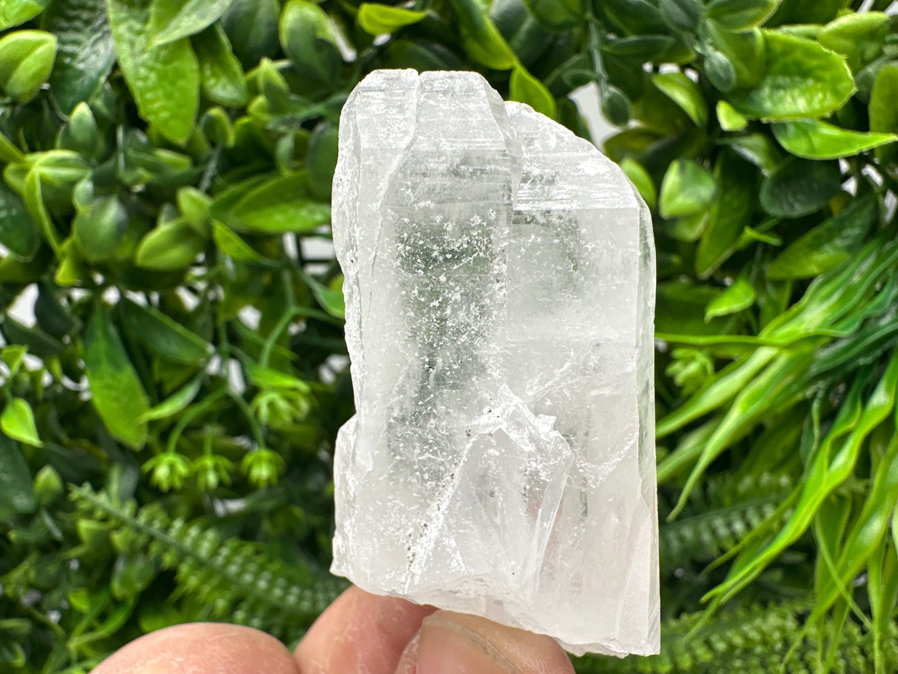 Transparent Quartz Crystal: Djurcovo Mine, Bulgaria